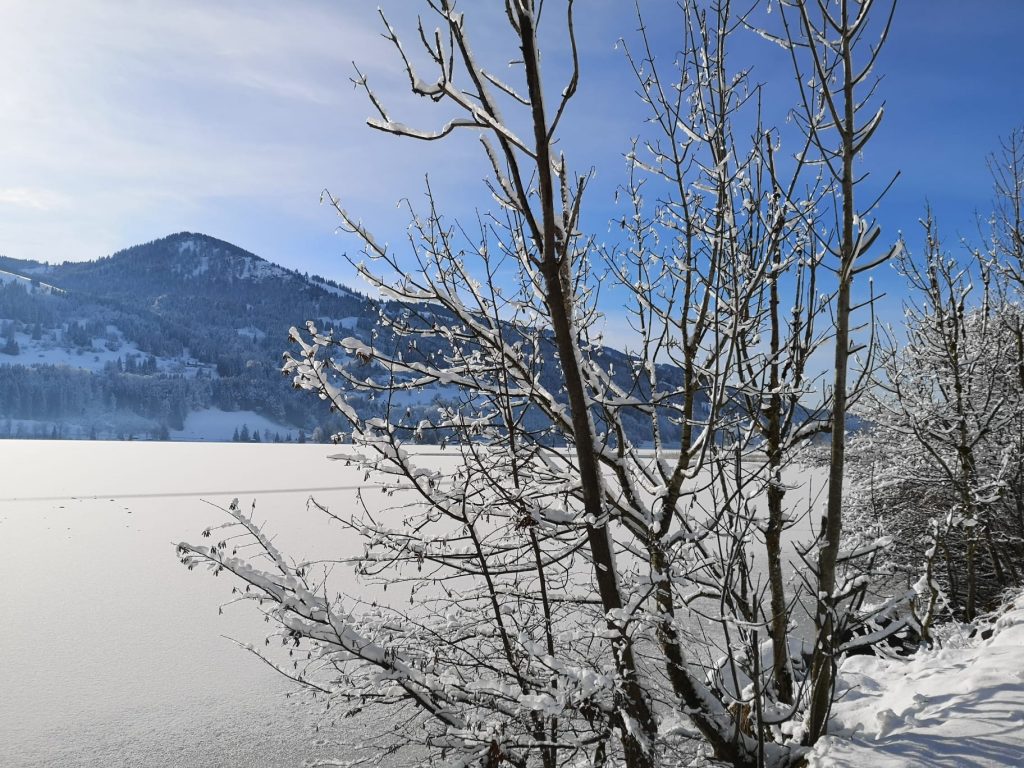 img 20250104 wa0008