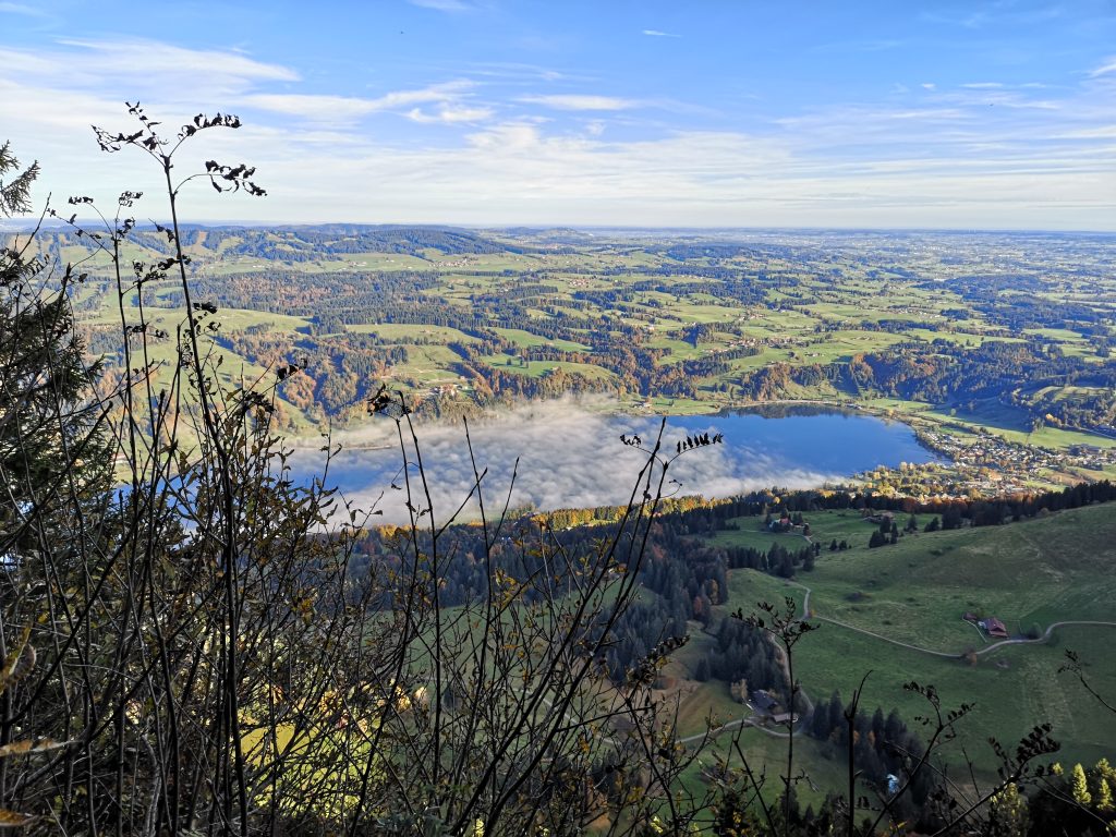 img 20241017 092441